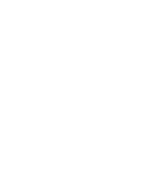Logo Bachillerato Ichimeame Marista