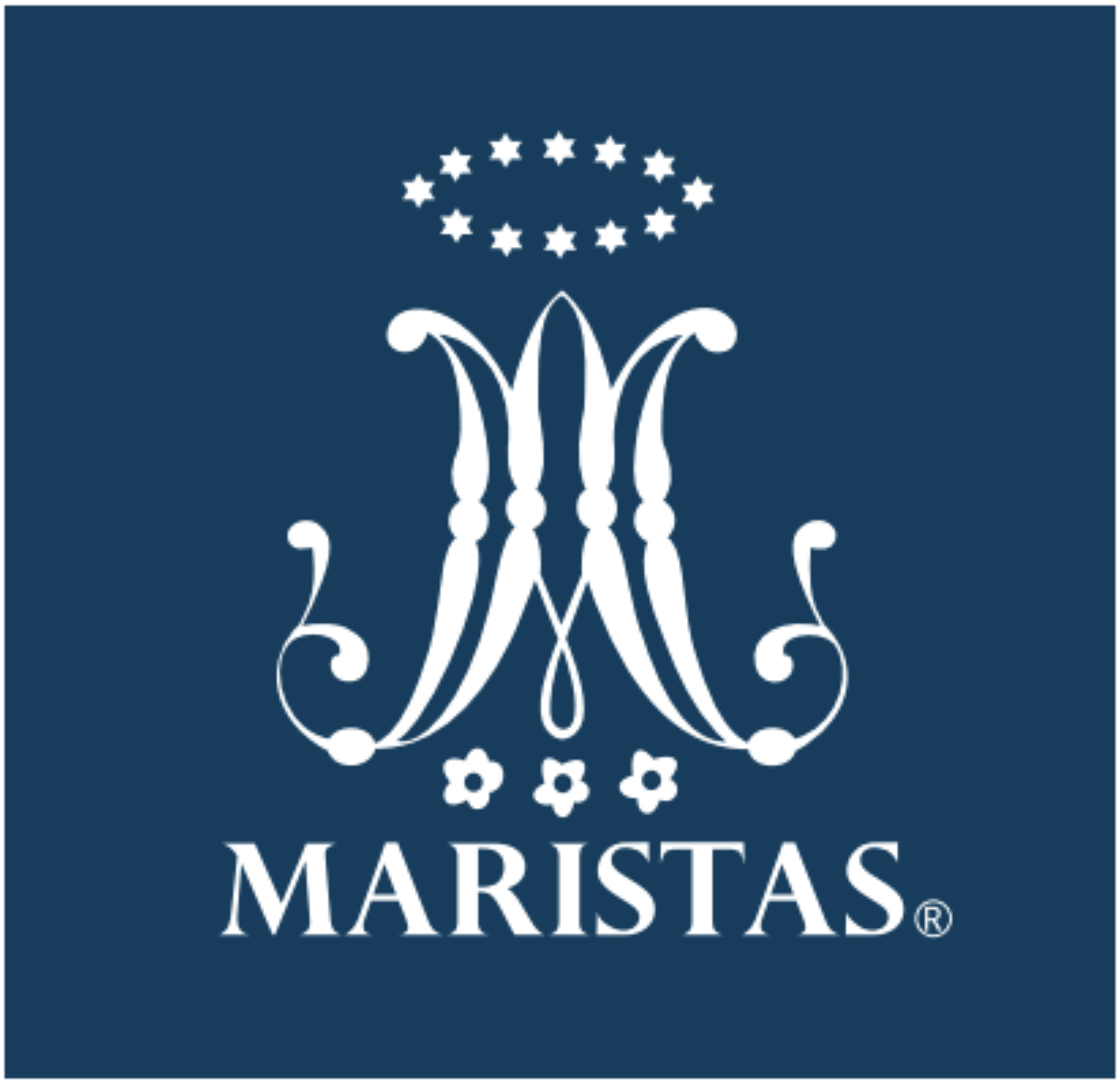 Logo Ichimeame Marista